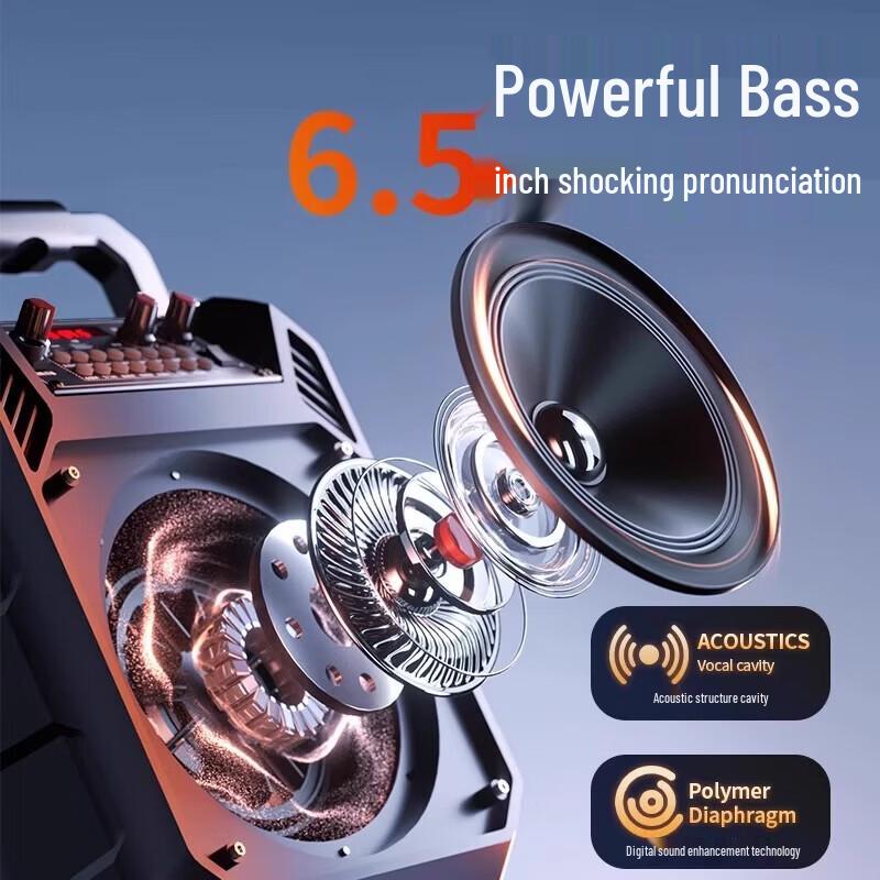 Портативная Bluetooth-колонка Newmine K511 с караоке и радио, штекер CN (адаптер в комплекте) (Китайская версия)