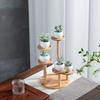Tree Branch Shape Succulents Bonsai Organizer Bamboo Shelf Desktop Plants Stand  for Window