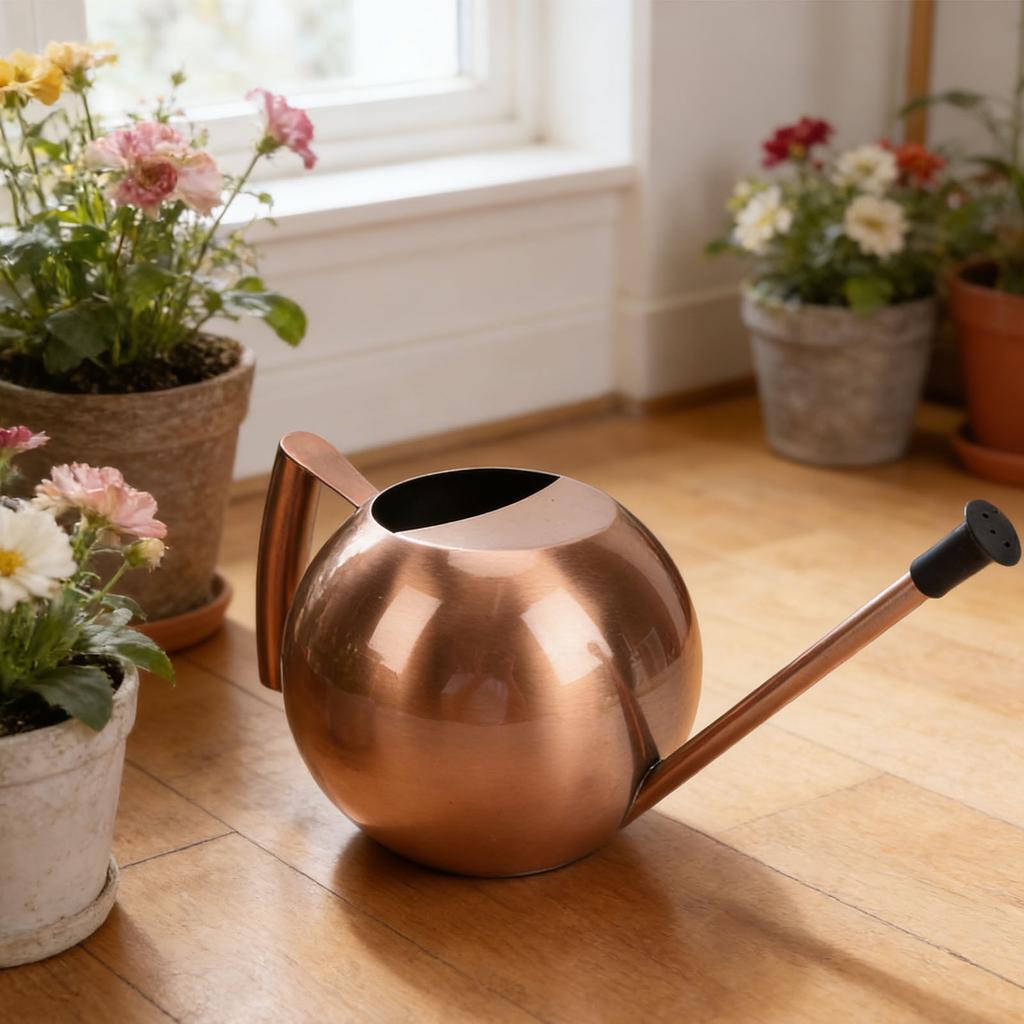 Watering Can with   Spout 1000ml Stainless Steel Round Indoor Plant Watering Can with Detachable Head for Home Garden Flower