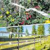 80M*4.8CM Bird Repellent Tape Bird Repellent Tape Scarecrow Garden Birdcatcher Reflective Pigeon Bird Guard