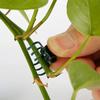 100pcs Garden Plant Clips Plastic Support Orchid Stem Clip For Vine Vegetables Flower Tied Bundle Branch Clamping Garden Tool