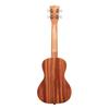 KALA Ukulele Series Mahogany Body Concert Successor KA-15 KA15C-WBAG20_06 [KA-15C Model] (Case Included) []