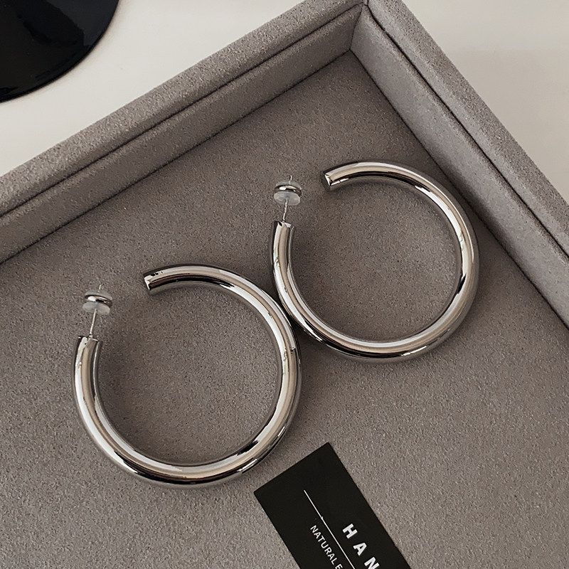 Silver Metal Hoop Earrings 2026 New Popular Style High-End Earrings Light Luxury Unisex Simple European and American Style Earrings