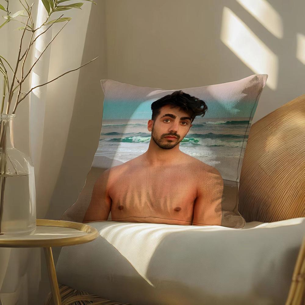 Celebrityfedev-Vigevani Pillow Case Pillowcase, Double-Sided Printed, Sofa Cushion, Bedroom Headboard