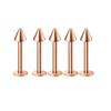 5Pcs Stainless Steel Lip Stud Eyebrow Stud Nose Stud Ear Stud Piercing Jewelry Body Piercing Jewelry
