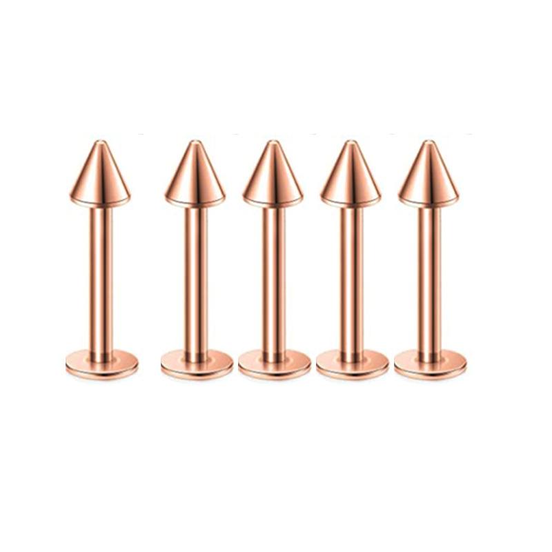 5Pcs Stainless Steel Lip Stud Eyebrow Stud Nose Stud Ear Stud Piercing Jewelry Body Piercing Jewelry