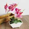 Durable Artificial Butterfly Orchid Vivid Vivid Color Realistic