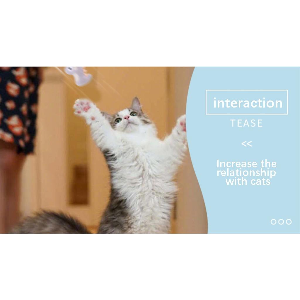 Pet Cat Toys Cute Plush Animals Containing Cats Mint Cats And Cats Like Toys