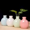 Solid Color Ceramic Flower Vase Cute Mini Planter Pot Desktop Vase Flowerpot Planter Home Garden Crafts Decorative