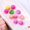 Mno Cosmos Blooming Hair Clips 10-pack, Random Color Hairpins, Side Hairpins, Front Hairpins, Hairpins, Flower Pins