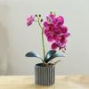 Realistic Artificial Orchid Flower Bonsai 8 Flowers Fake Orchid  Home Garden Decoration