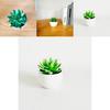 Imitation Succulent Plant Container With Durable Pvc For Home Interior Decoration