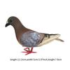 Realistic Pigeon Statue Artificial Bird Figurine Miniature Imitation Dove for Indoor Wedding Shelf Decor