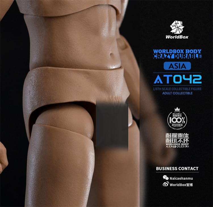 Worldbox AT042 Прочное тело азиатского мужчины для масштабных фигурок [TOYBARJAPAN] 1/6