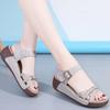 Fashion Platform Sandals Woman Summer 2024 New Open Toe Plus Size 35-41 Medium Heel Casual Wedges Sandals for Beach Office Buckle Strap