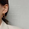 S Серебряная Игла Французский Ретро Неправильная Смола Черепаховый Окрас Серьги Женские Корейские Простые Универсальные Темпераментные Серьги-Гвоздики