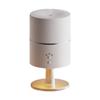 Essential Oil Diffuser Portable Night Light Auto Shut Off Desk Humidifier Air Humidifier for Yoga Hotel SPA Bedroom Living Room