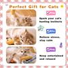 Cat Toys  Plush Catnip-Filled Interactive Cat Toy for Bored Indoor Adult Cat