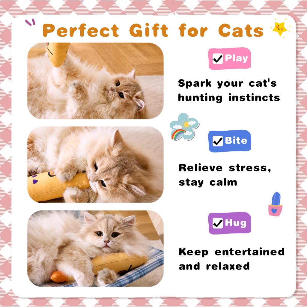 Cat Toys  Plush Catnip-Filled Interactive Cat Toy for Bored Indoor Adult Cat