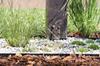Gardenix Lawn Edge, Flower Bed Edge, Paving Edge, Mowing Edge + 3 Nails Per Metre (Lawn Edge 45 X 80 , 8 Metres)