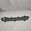 Foton Bumper Grille G083100000011