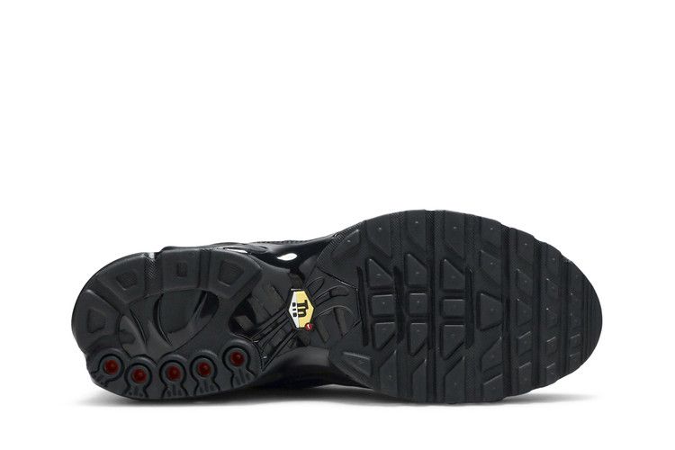 Nike Air Max Plus Тройной черный кожа