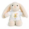 Planetee Peluche Lapin Bébé Doudou Leo d'Amour Abeille Cadeau Naissance Garçon Nouveau-Né Baby Shower