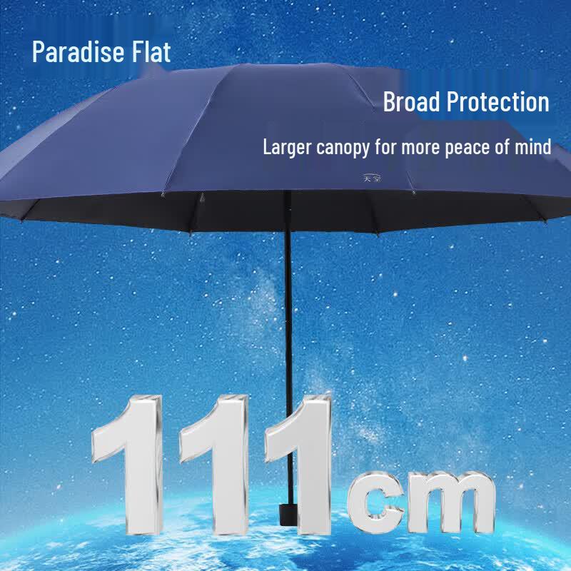 Складной всепогодный зонт Paradise с 10 ребрами, с черным покрытием