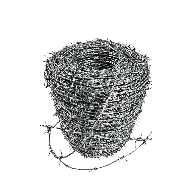 Galvanized Steel Barbed Wire