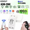 Tuya WiFi RF 433MHz Wireless Remote Control Switch AC 110V 220V Mini Relay Receiver with On Off Transmitter for LED Light Bulb