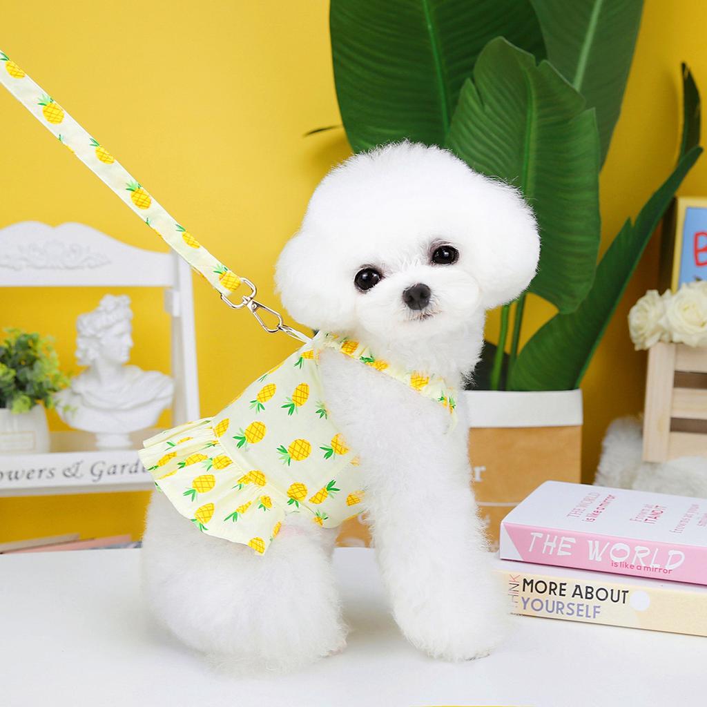 Летняя юбка с бретельками для домашних животных, одежда с клубникой для собак, весенне-летняя юбка для собак, одежда для собак, новая одежда, юбка с фруктами и веревкой