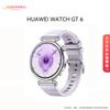 Huawei Умные часы WATCH GT 6 (Китайская версия)
