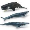 Simulation Of Marine Animals 2 Whale Models Children'S Cognition Of Underwater Creatures Sperm Whale Blue Whale Static Ornament