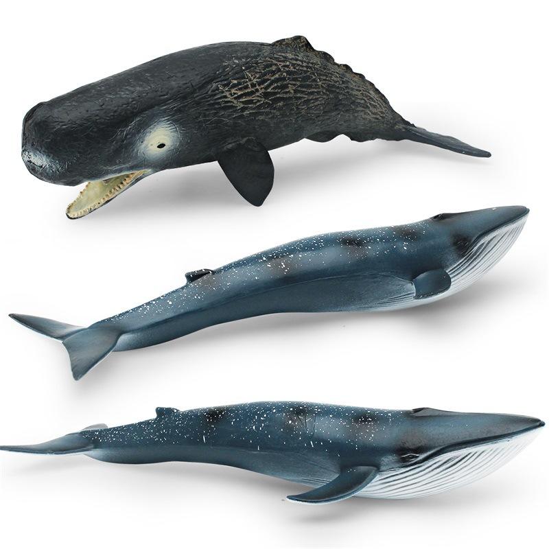 Simulation Of Marine Animals 2 Whale Models Children'S Cognition Of Underwater Creatures Sperm Whale Blue Whale Static Ornament
