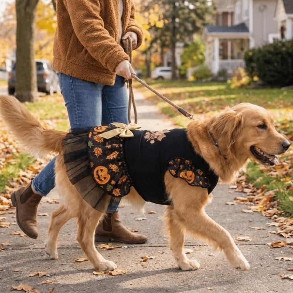 Big Bow Decor Pet Wizard Dress Mesh Dog Maple Leaf Print Dress Pet Puff Sleeve Skirt Pet Party