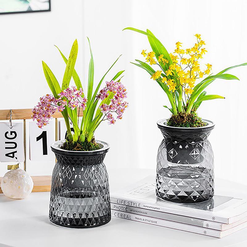 Мини-горшок для цветов с самополивом, аквариум, прозрачные пластиковые горшки для растений, самополивной горшок для растений, ваза для украшения дома