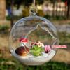 Hanging Transparent Ball Glass Flower Planter Vase Terrarium Landscape Container