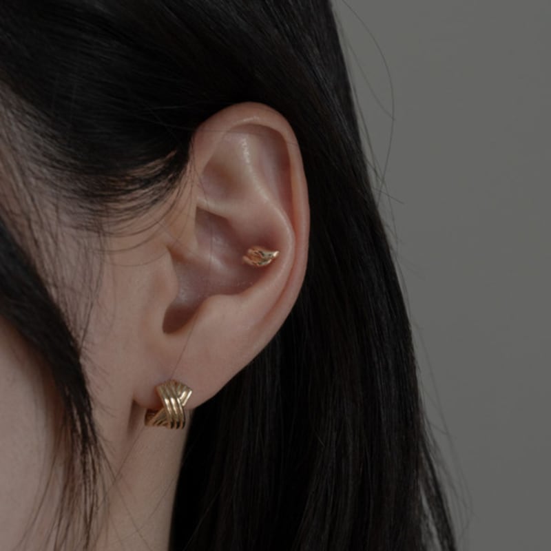 youngglow 14k bold shell wave piercing