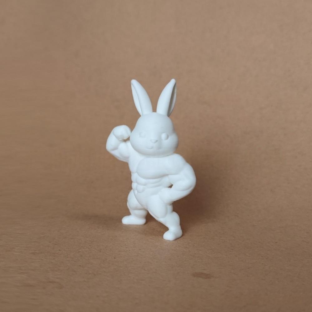 Cute Easter Fitness Rabbit Funny Plastic Muscular Rabbit Statue  Collectors Realistic Small Rabbit Ornament Home Desk Decor