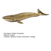 Whale Metal Figurine Ocean Decorative Animal Sculpture Brass Ocean Creature Ornaments Living Room Decoration