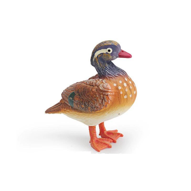 Animal Figure Desk Ornament With Static Design For Science Education And Bird Lovers