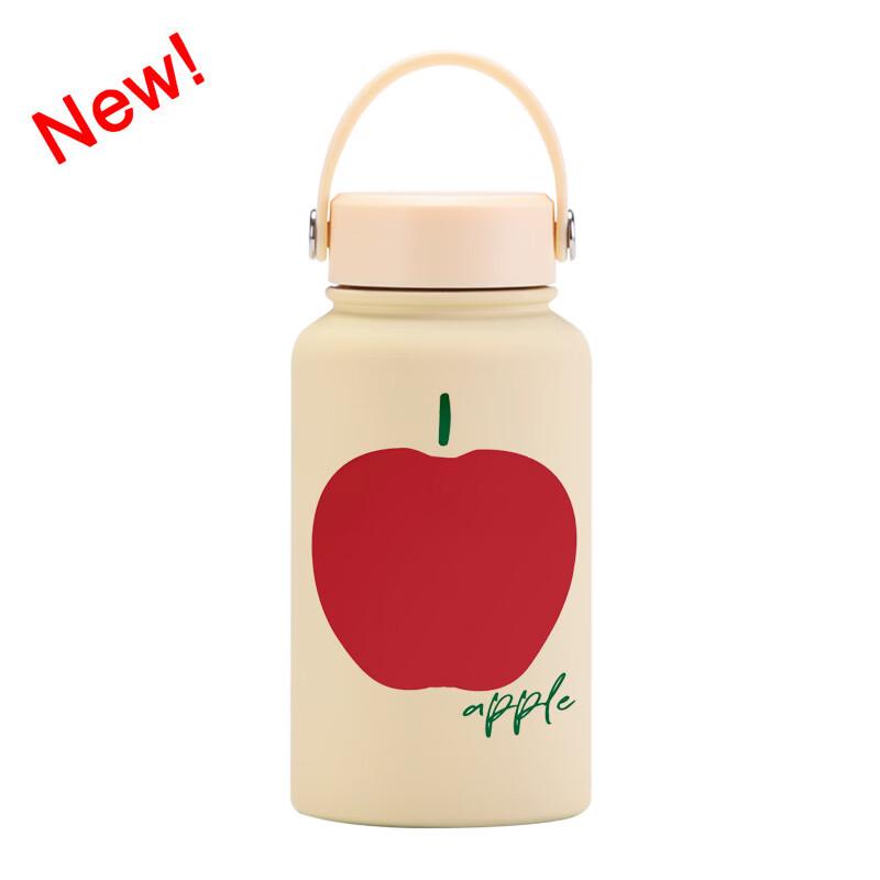 Insulated Sport Water Bottle