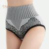 Dilara Briefs High Waist Butt Lifter Polyester Graphene Panties for Women
