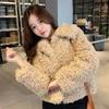 Lamb Wool Imitation Fur Jacket Autumn and Winter Fashion Warm Short Wool Sweater Casual Socialite Small