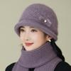 New Medium Hat Women's Winter Wool Hat Warm Foreign Gas Plush Faux Rabbit Fur Knitted Hat Basin Hat