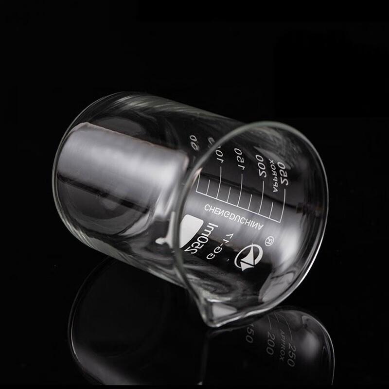 Homeglen High Borosilicate Glass Beaker