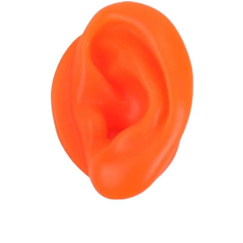 5D Силиконовая Модель Искусственного Уха, Имитирующая Настоящее, Пирсинг Сережек, Пирсинг, Пирсинг, Обучение, Слуховой Аппарат, Практика Акупунктуры, Реквизит