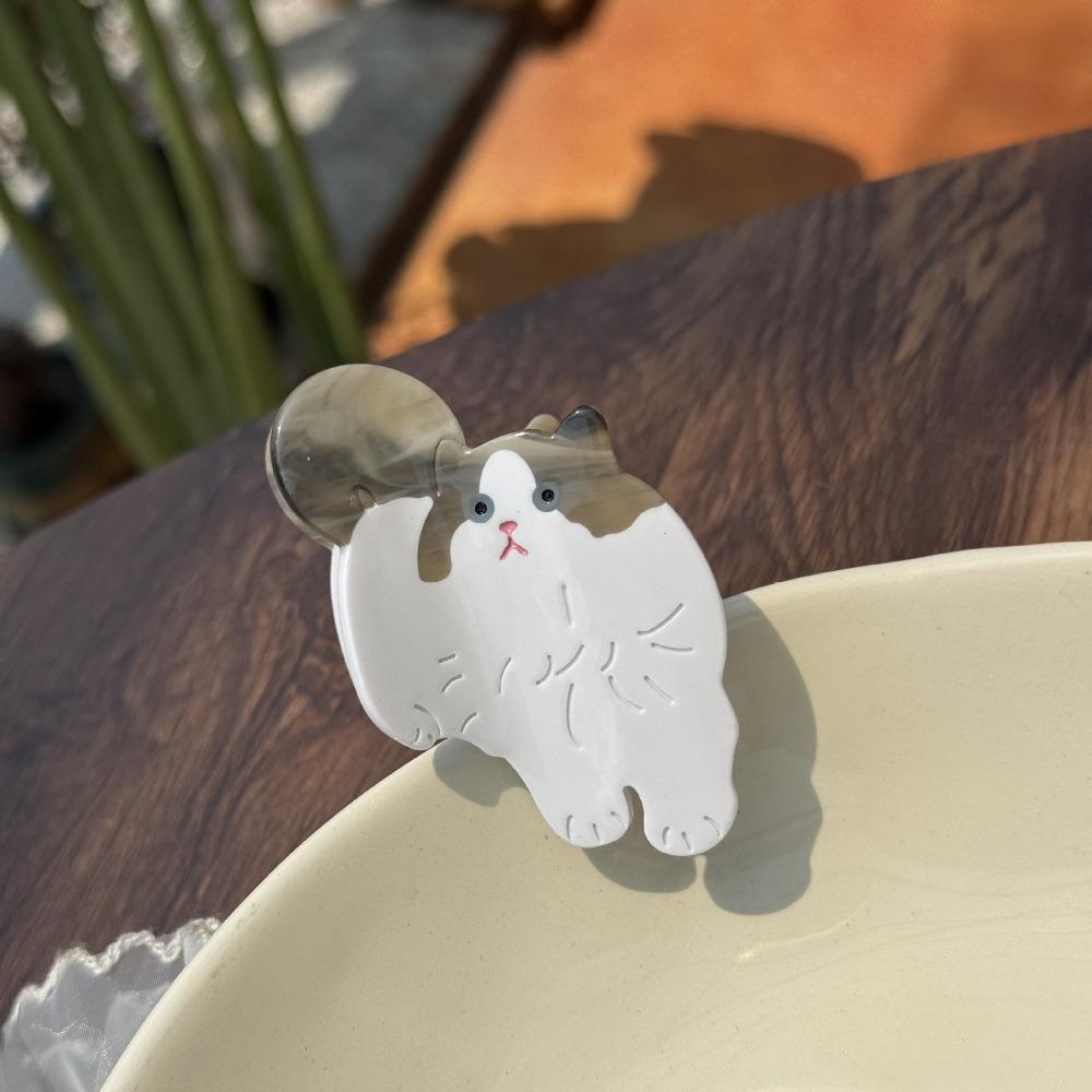 Cartoon Animal Hair Clip Acetic Acid Shark Clip Cute Acetate Cat Hair Claw  Female