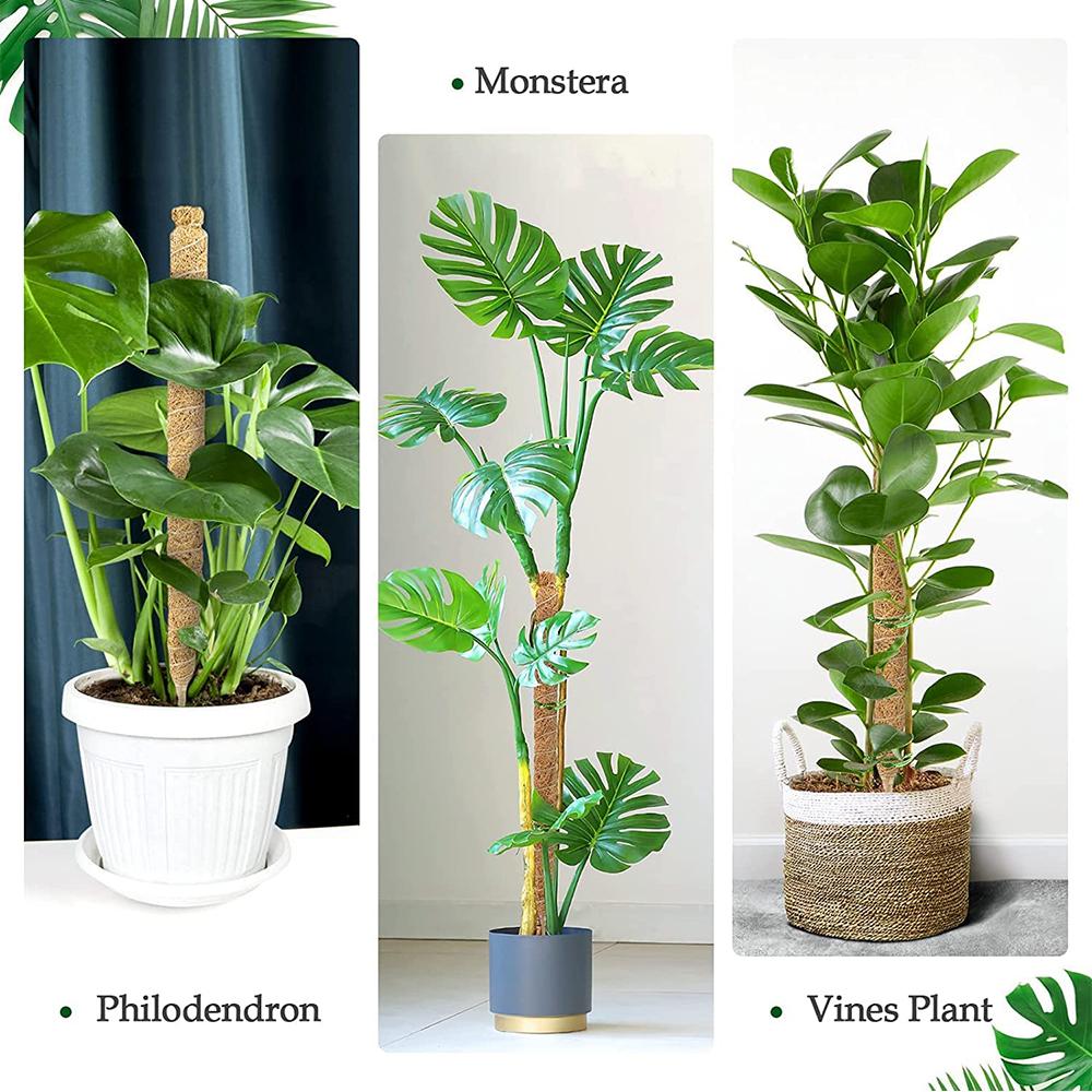 Моховая опора Идеально подходит для роста маленьких и средних вьющихся шпалерных растений в помещении