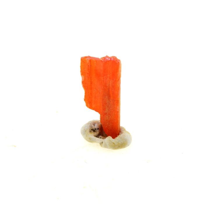 Pierres et Minéraux. Crocoite. 0.77 ct. Adelaide Mine, Dundas, Tasmania, Australie.
